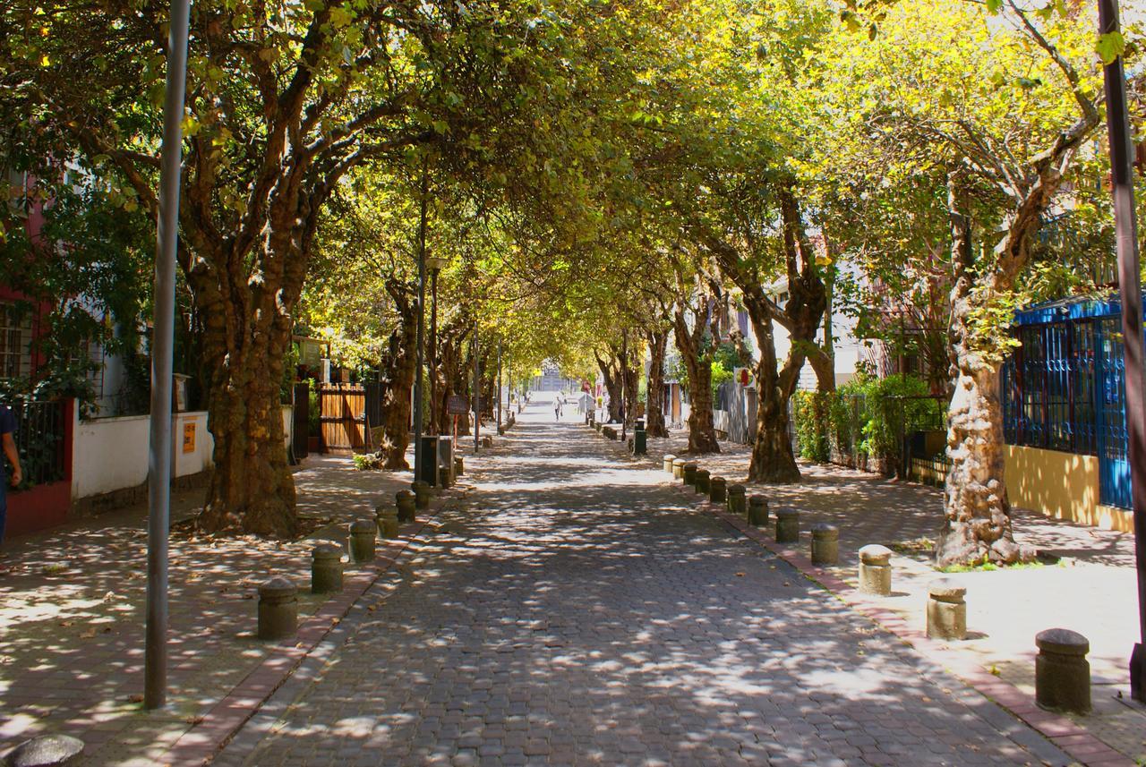 Dolce Lobo Boutique Stay Quito Exteriör bild